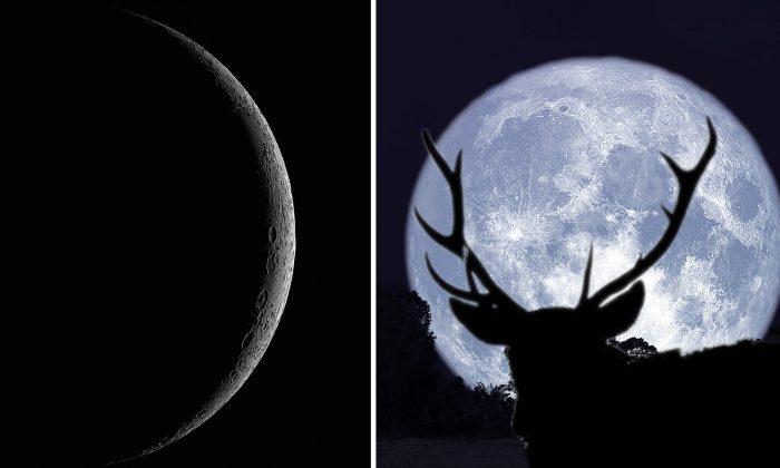 ‘Thunder Moon’ Lunar Eclipse Meets Saturn in the Sky Tonight–Get Ready for July 16th, 2019