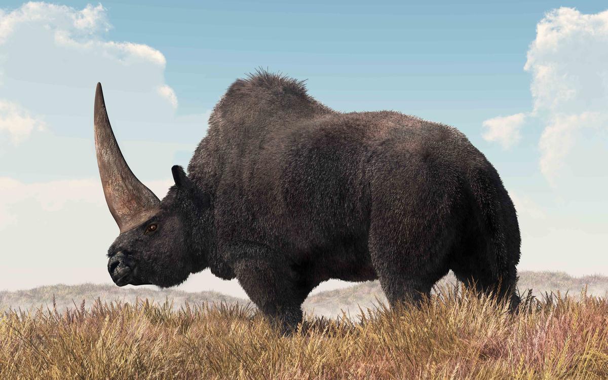 Elasmotherium (©Shutterstock | <a href="https://www.shutterstock.com/image-illustration/elasmotherium-prehistoric-cousin-rhinoceros-these-animal-1330637852?studio=1">Daniel Eskridge</a>)