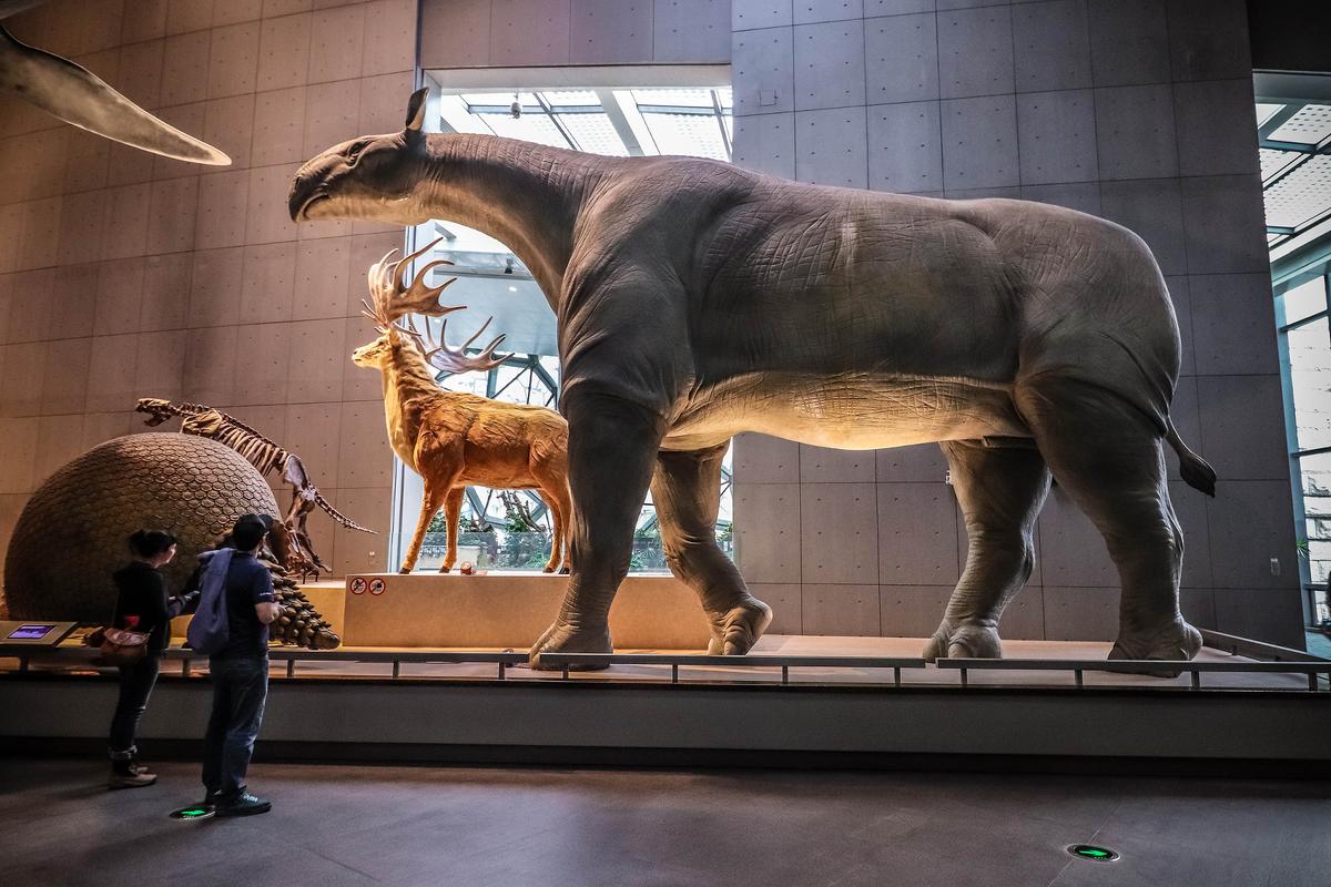 Paraceratherium (©Shutterstock | <a href="https://www.shutterstock.com/image-photo/shanghai-china-april-13-2018-realistic-1128730322?studio=1">AKKHARAT JARUSILAWONG</a>)