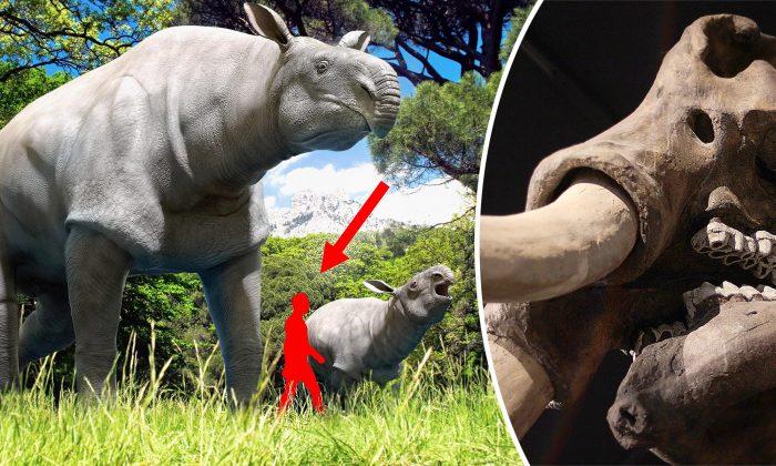 5 Most Gigantic Prehistoric Mammals to Ever Walk the Earth–Warm-Blooded Dinosaurs, Practically
