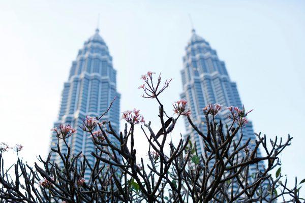 Flowers bloom in front of the Petronas Towers in Kuala Lumpur on Dec. 10, 2014. (Olivia Harris/File Photo/Reuters)