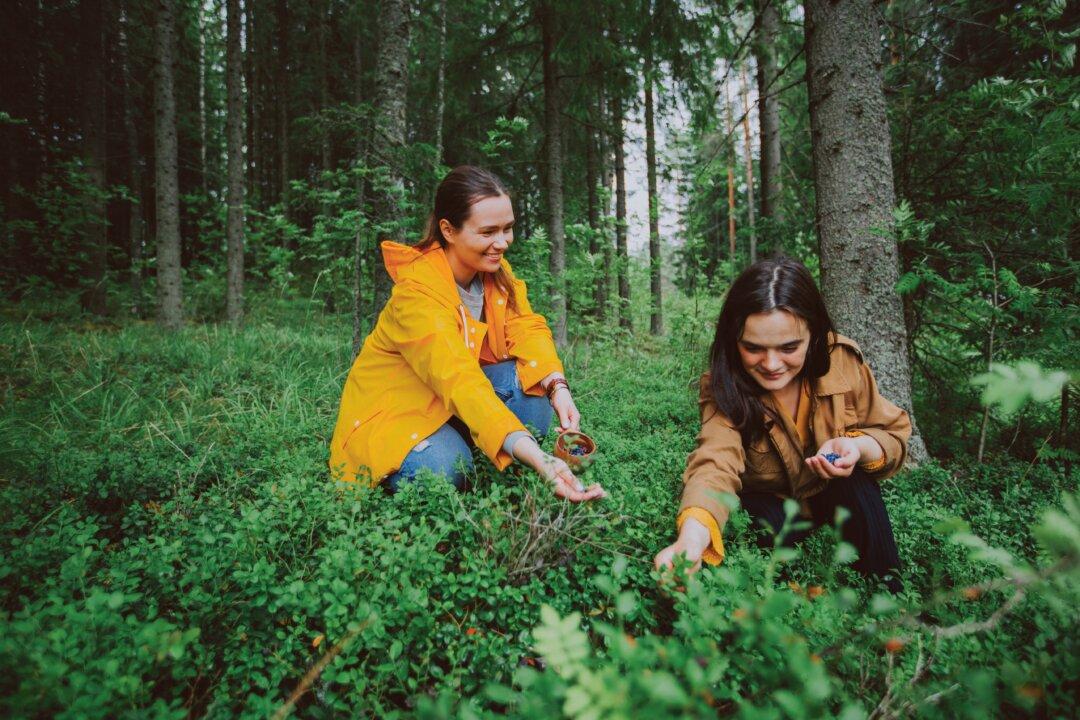 Is Finland Really Such a Happy Place?