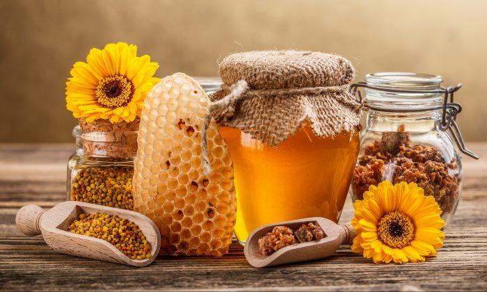 Honey Found To Have Potent Anti-Influenza Activity