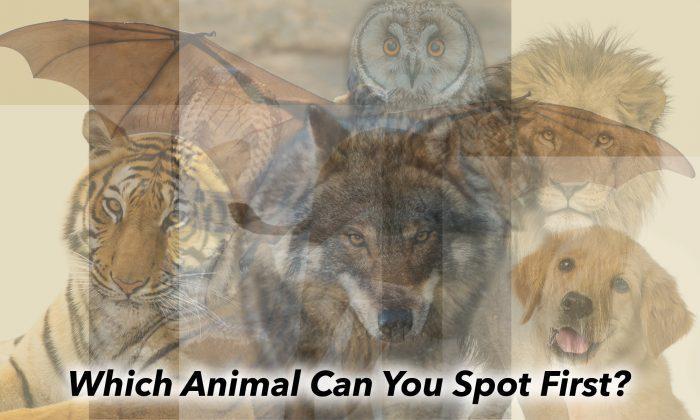 The First Animal You See in This Psychology Illusion Reveals Your True Innermost Self