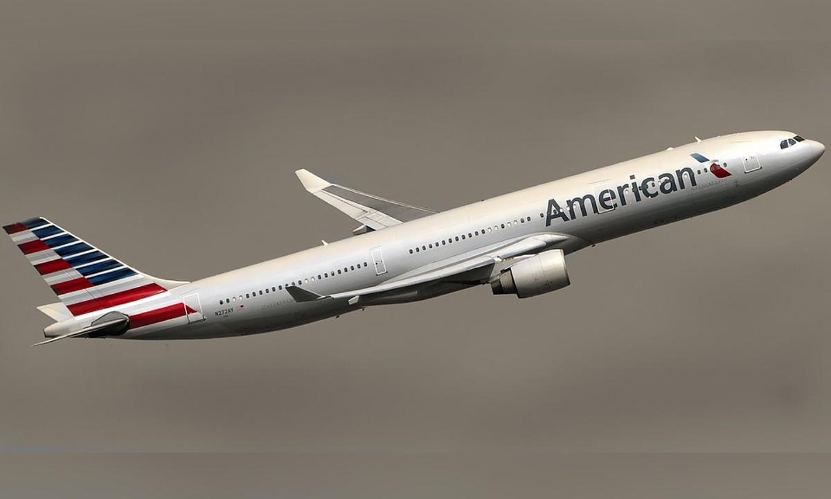 Flight Attendant Gets 5 Stitches After Emotional Support Animal Bites Him Mid-Flight