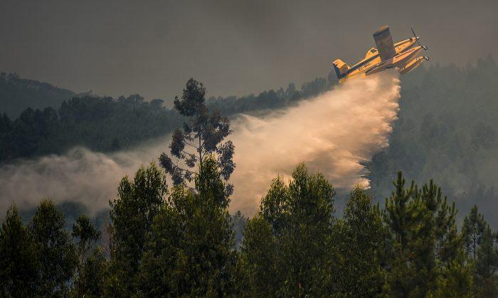 Police Launch Investigation as Wildfire Sweeps Central Portugal