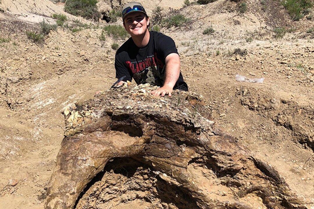 Student Discovers 65 Million-Year-Old Dinosaur Skull, Has Grand Plans to Give It Second Life