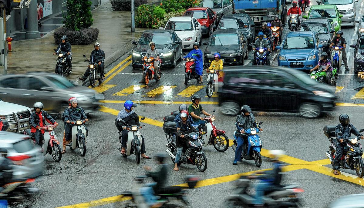 Dog Tries to Wake Its Dead Friend on Busy Road for 30 Minutes, Then Someone Comes