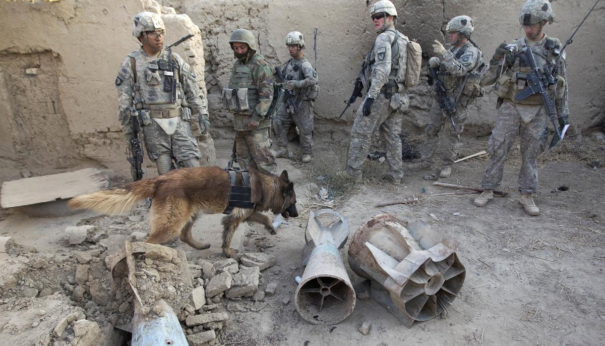 British K-9 Officer Saves SAS Soldiers Ambushed by Terrorists, ‘Rips’ Out Jihadi’s Throat