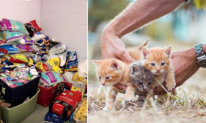 Police Department Collects Cat Food in Lieu of Parking Ticket Fines to Help Animal Shelter
