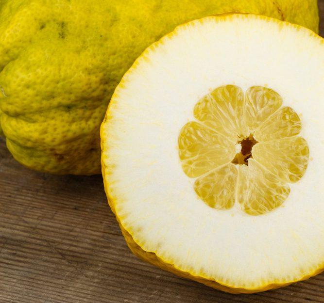 Citron is characterized by little flesh and a thick, white pith. (Shutterstock)