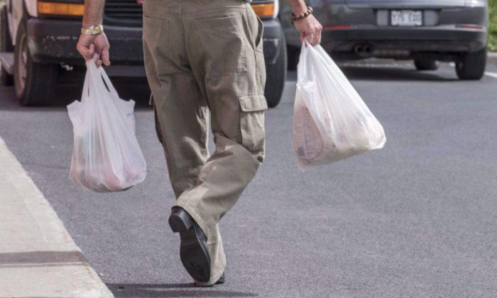 Sobeys Announces Plan to Eliminate Plastic Bags by 2020