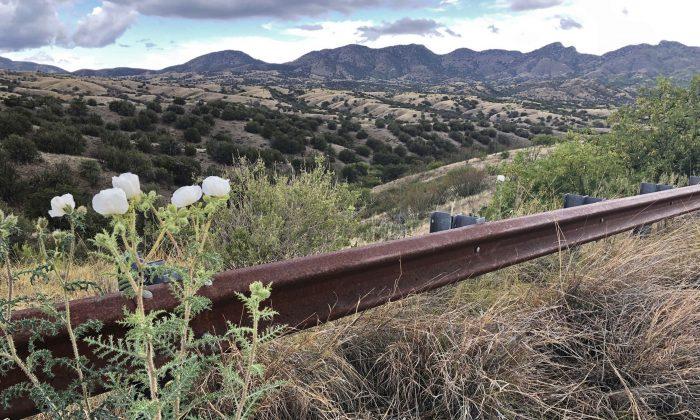 Arizona Copper Mine Project Blocked by Judge After Decade of Collecting Permits