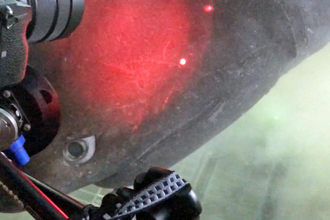 Deep Sea Video Shows Up Close Encounter With Shark Weighing Over a Ton