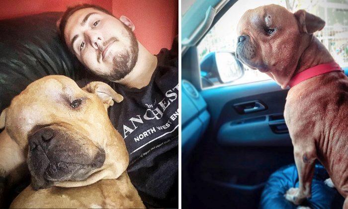 Man Adopts Dog With Massive Tumor on His Head and Offers ‘Unconditional Love’ in His Last Days