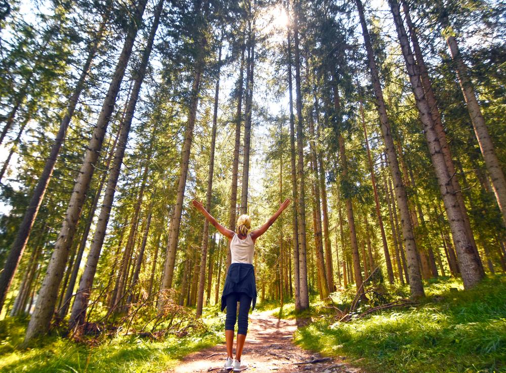 8 Ways to Unplug This Summer