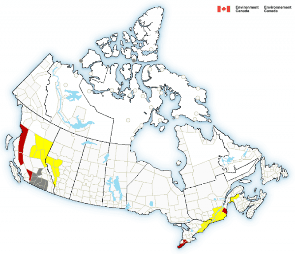 A map shows the weather warnings currently in place for Canada, coloured red and yellow. (Environment Canada)