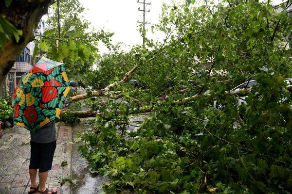 A man holding an umbrella stands near a fallen tree after super typhoon Lekima made landfall in Wenling, Zhejiang province, China on Aug. 10, 2019. (REUTERS/Stringer)