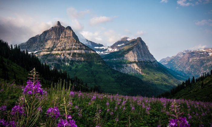 14-Year-Old Girl Killed in Rockfall on Glacier National Park Road Identified
