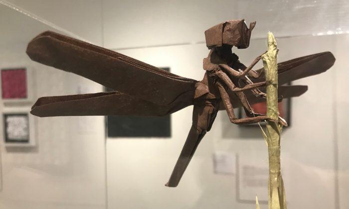 Origami: A Relationship Between Mathematics and Art