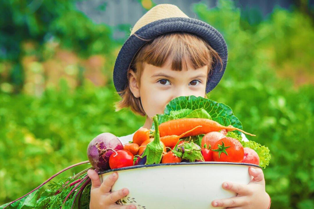 Why Food Is Actually Information: Studies Show Changes in microRNA