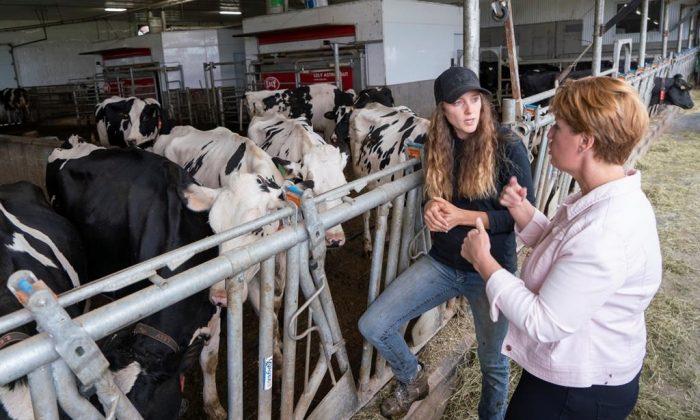 Ottawa Announces $1.75B to Compensate Dairy Farmers for Impact of Trade Deals