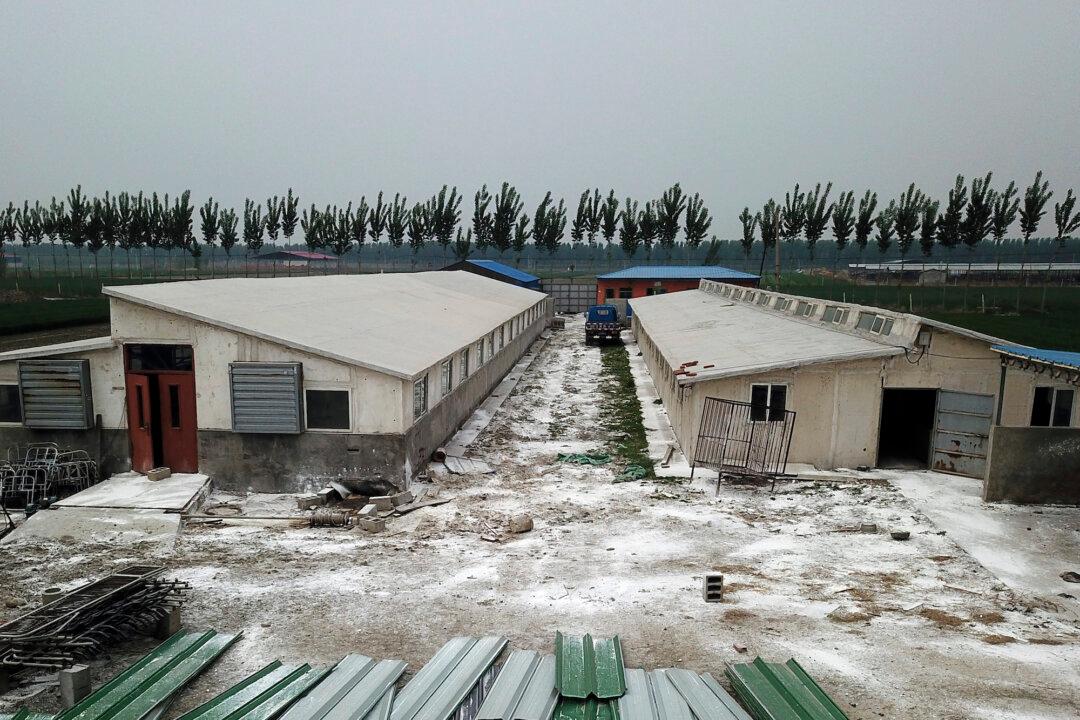 China Reports African Swine Fever Outbreak on Hainan Island, OIE Says