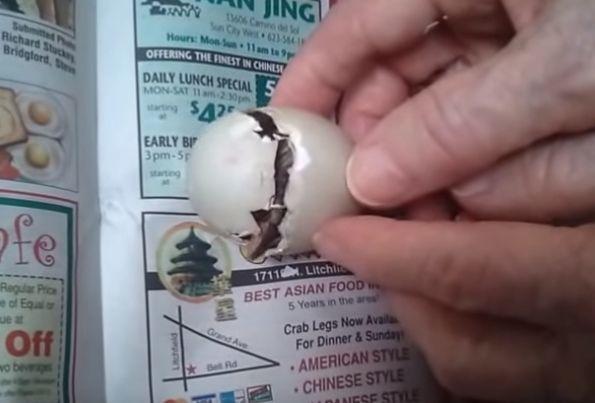 A duck egg hatched after a mother left it on a couple's porch (YouTube/loverof88)