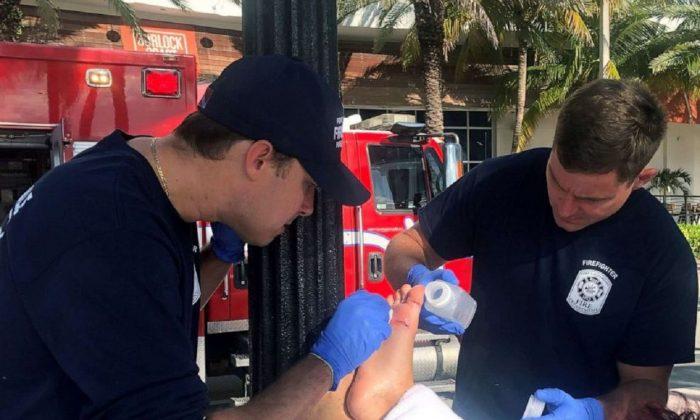 Shark Bites Boy Swimming at Florida Beach, Boy Rushed to Hospital