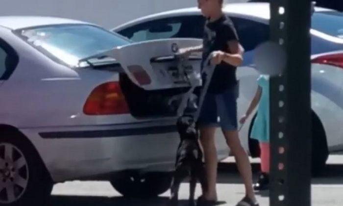 Video Shows Woman Shoving Dog Into Trunk After Animal Shelter Refused to Euthanize It