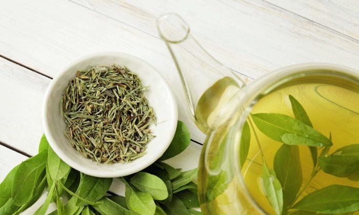 Green Tea Goes to Battle with Super Bugs
