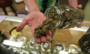 Florida Legislature Proposes Strict THC Restrictions Ahead of Recreational Marijuana Vote