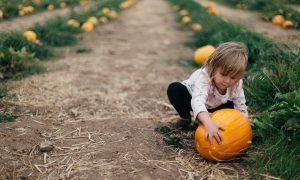 Fall Is for Family: 7 Weekend Ideas for Enjoying the Season