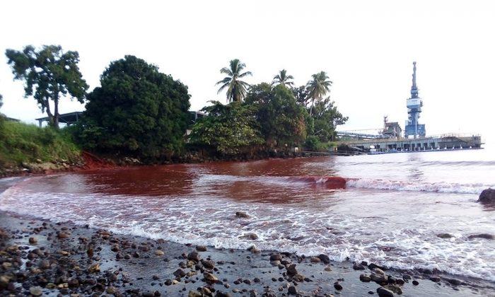 Chinese-Owned Nickel Plant Spills Waste Into Papua New Guinea Bay