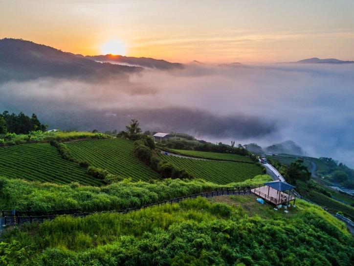 The sunrise over tea plantations in Pinglin. (Courtesy of Taiwan Tourism Bureau)