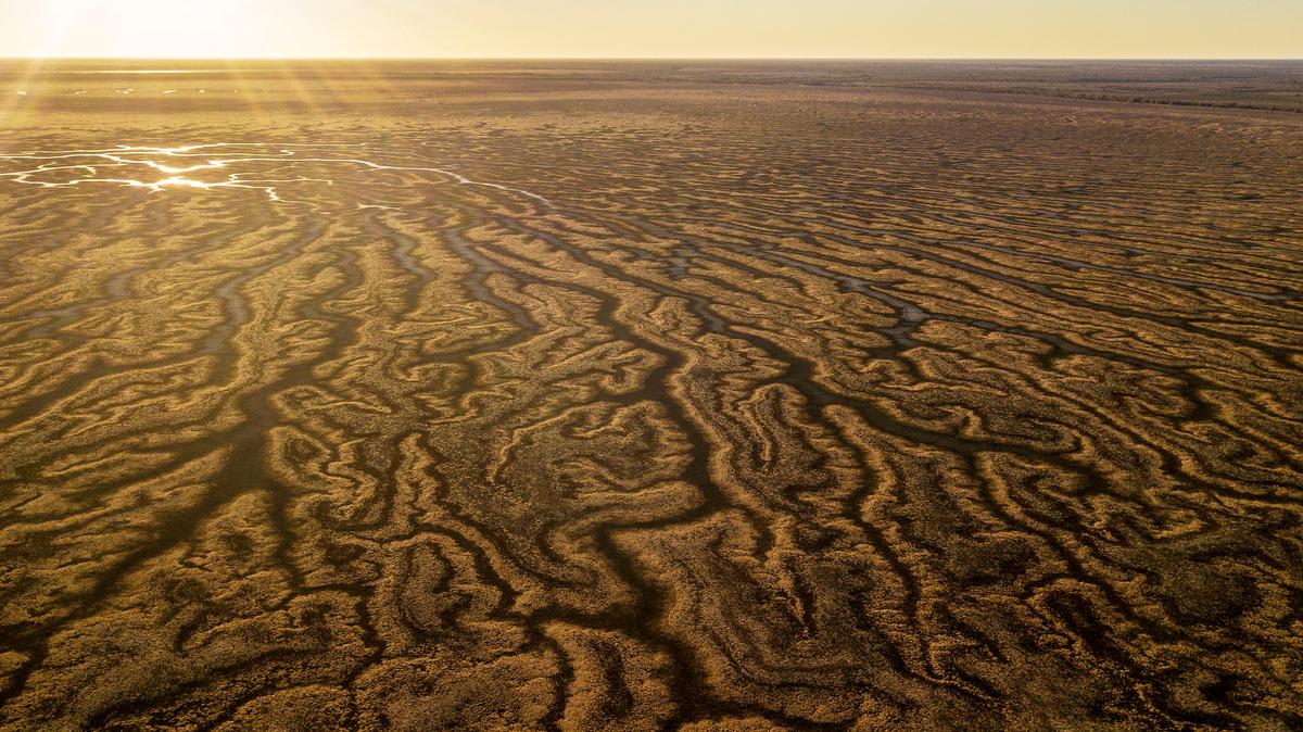 An aerial view of Lake Tandure Menindee, Australia on Aug. 15, 2019. (Mark Evans/Getty Images)
