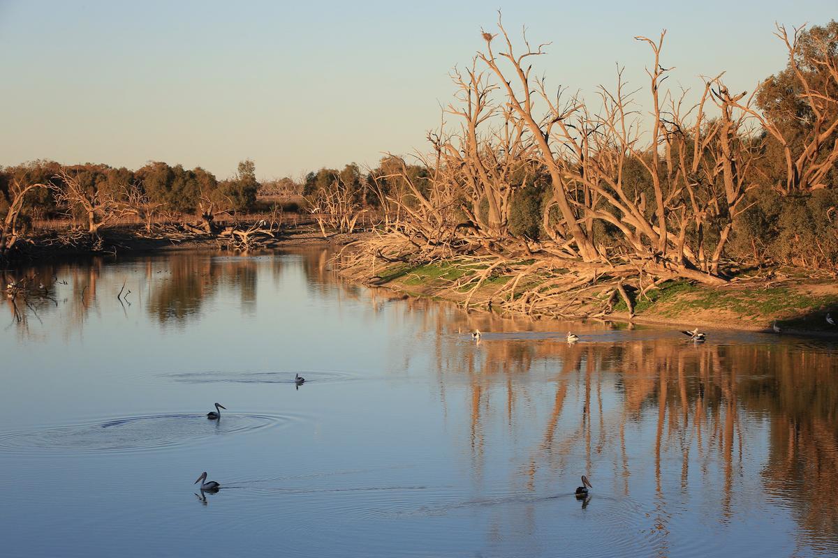 Murray-Darling Basin Authority to Be Overhauled
