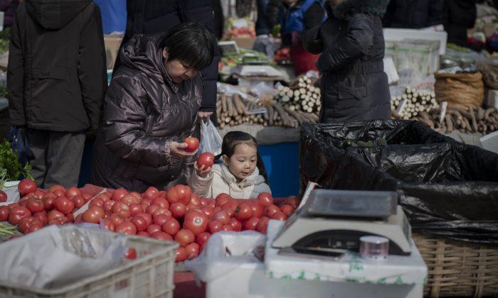 ‘Ebola Plant Virus’ First Cases Confirmed in China Tomatoes