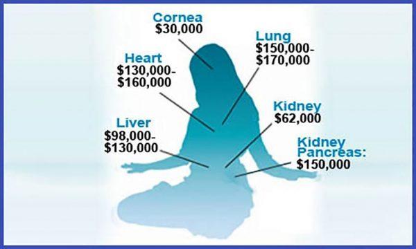 Illustration indicating the prices charged for organs in China’s illicit transplant industry. (The Epoch Times)