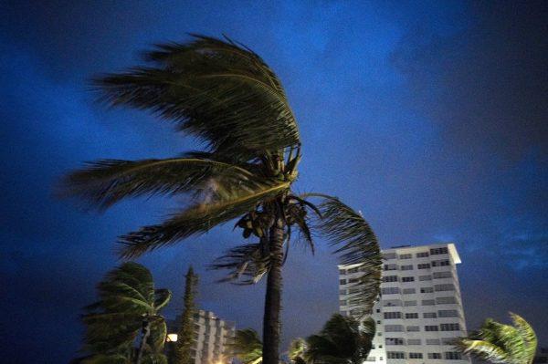 Strong winds move the palms of the palm trees upon Hurricane Dorian’s arrival in Freeport, Grand Bahama, Bahamas, on Sept. 1, 2019. (Ramon Espinosa/AP Photo)