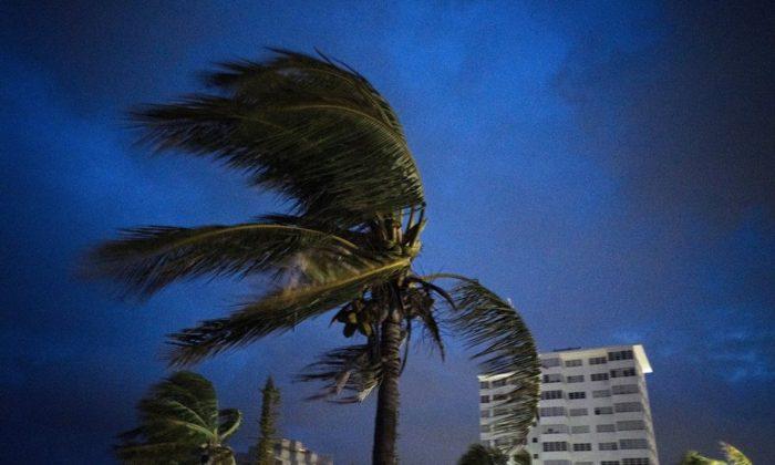 7-Year-Old Boy Becomes First Fatality of Hurricane Dorian: Report
