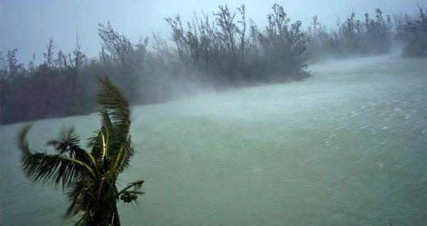 Strong winds from Hurricane Dorian blow the tops of trees and brush while whisking up water from the surface of a canal that leads to the sea, located behind the brush at top, seen from the balcony of a hotel in Freeport, Grand Bahama, Bahamas, on Sept. 2, 2019. (Ramon Espinosa/AP Photo)