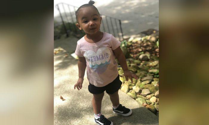 Missing Toddler Nalani Johnson Found Dead in Pennsylvania Park
