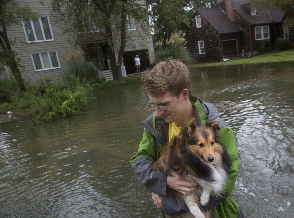 A man carries a dog through floodwaters in Larchmont after Hurricane Dorian brought heavy wind and rain to Norfolk, Va., on Sept. 6, 2019. (Kaitlin McKeown/The Virginian-Pilot via AP)