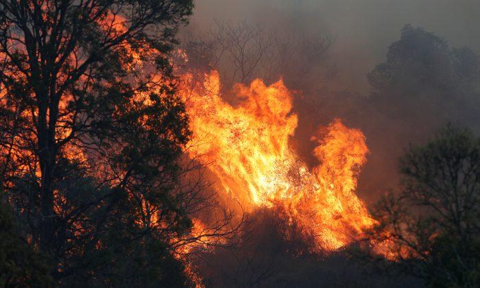 Strong Winds Fuel Bushfires Along Australia’s Drought-Ridden East Coast