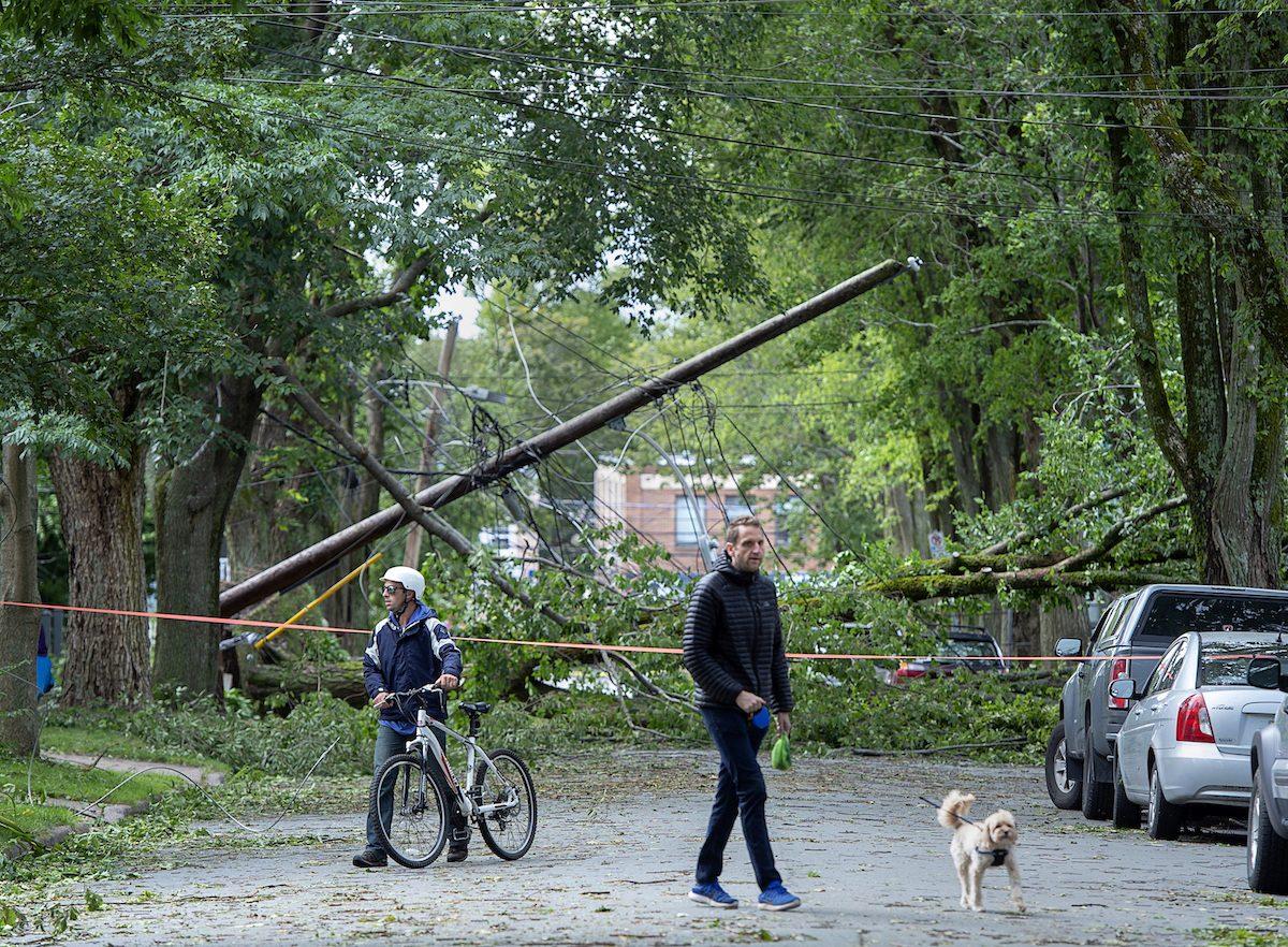 A street is blocked by fallen trees in Halifax on Sept. 8, 2019. (Andrew Vaughan/The Canadian Press via AP)