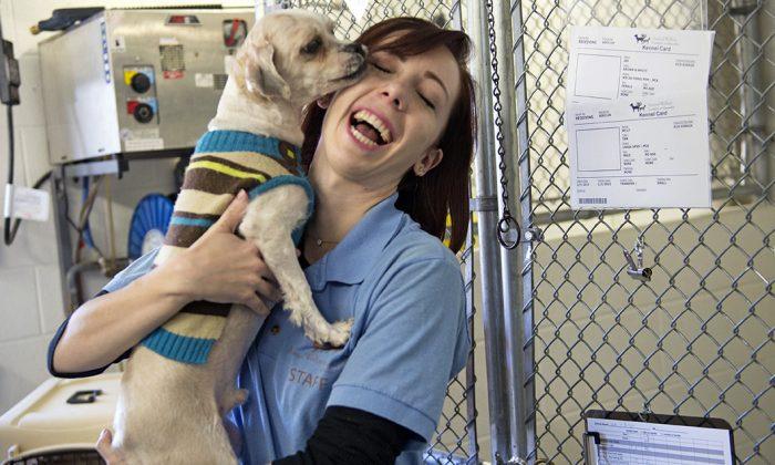 Animal Welfare Advocates Commend Michigan on Becoming a No-Kill State