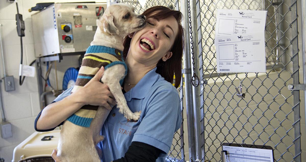 Animal Welfare Advocates Commend Michigan on Becoming a No-Kill State