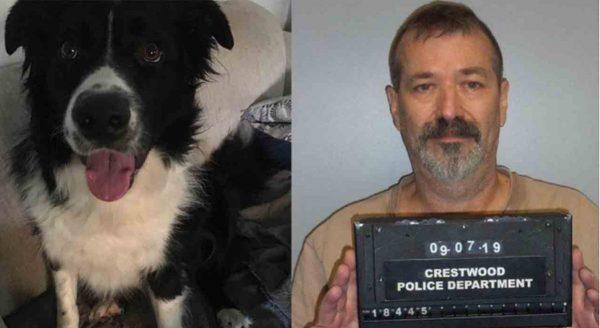 John Conrad Ross, 56, is accused of stabbing Teddy, a Border collie. (Crestwood Police Department)