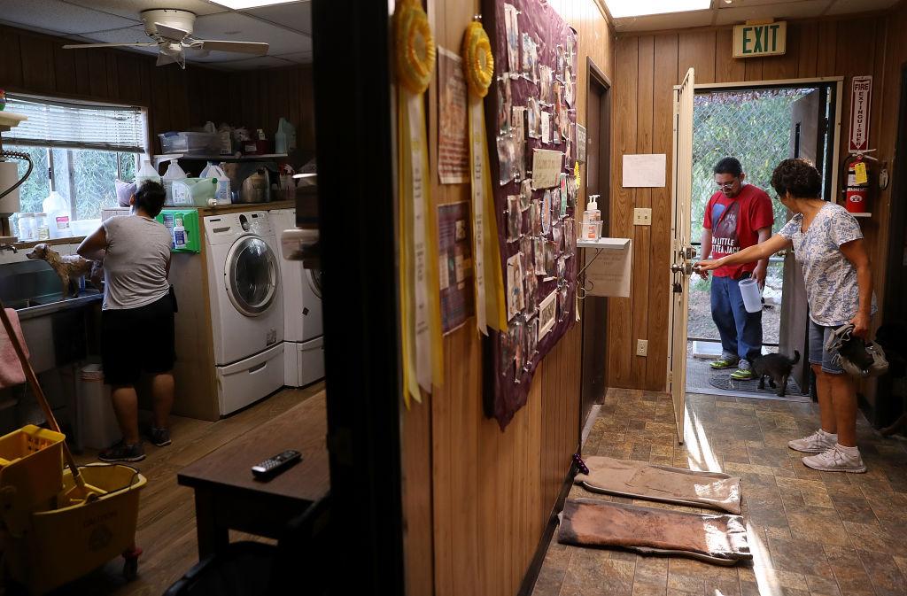 Lynea talks with volunteer Joseph Hyder as a resident dog is bathed next door on Aug. 25, 2017 (©Getty Images | <a href="https://www.gettyimages.com.au/detail/news-photo/the-cat-house-on-the-kings-founder-lynea-lattanzio-talks-news-photo/839005694">Justin Sullivan</a>)